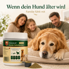 Premium Hunde Gelenkpulver – Gelenksupport mit Glucosamin, Chondroitin & MSM – Gelenke & Knorpel Aufbau – Beweglichkeit Hund – Ergänzungsfuttermittel Hund – Getreidefrei – Made in Germany 180g