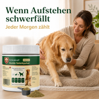 Premium Hunde Gelenkpulver – Gelenksupport mit Glucosamin, Chondroitin & MSM – Gelenke & Knorpel Aufbau – Beweglichkeit Hund – Ergänzungsfuttermittel Hund – Getreidefrei – Made in Germany 180g