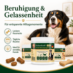 Eichenkraft Hunde Drops 3er Set – Gelenk, Verdauung & Ruhe (3 × 270 g)
