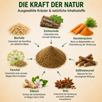 Premium Hunde Verdauungspulver 180g – Probiotika für Hunde Darmflora – Magen Darm Pulver Hund – Unterstützung Verdauung & Kotkonsistenz – Natürliches Ergänzungsfuttermittel Hund – Made in Germany