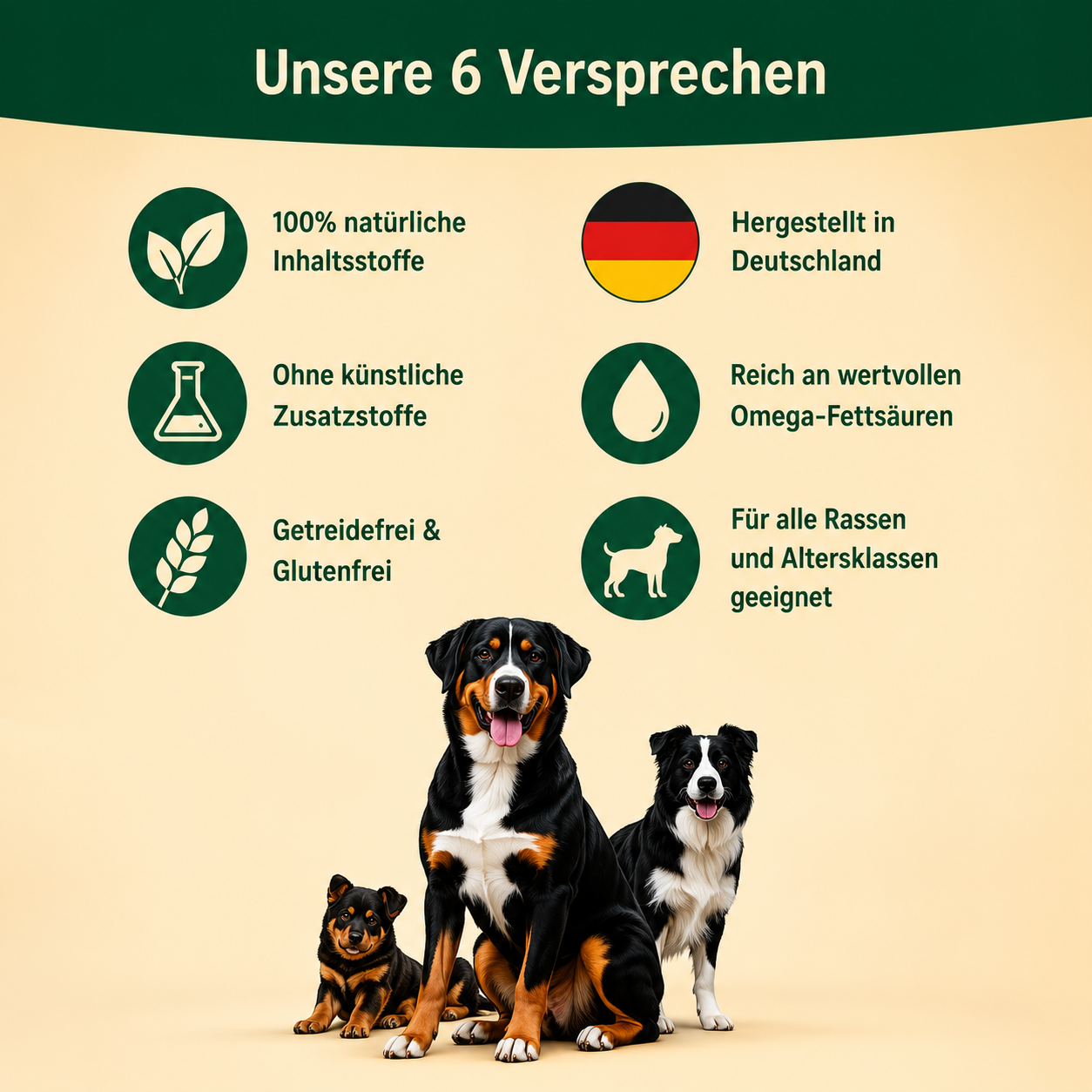 Premium Barf Öl für Hunde 500ml – Ergänzungsfuttermittel mit Lachsöl, Leinöl, Hanföl & Schwarzkümmelöl – 100% naturreine Ölmischung – Unterstützung für Fell, Haut & Wohlbefinden – Made in Germany
