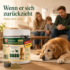 Premium Hunde Gelenkpulver – Gelenksupport mit Glucosamin, Chondroitin & MSM – Gelenke & Knorpel Aufbau – Beweglichkeit Hund – Ergänzungsfuttermittel Hund – Getreidefrei – Made in Germany 180g