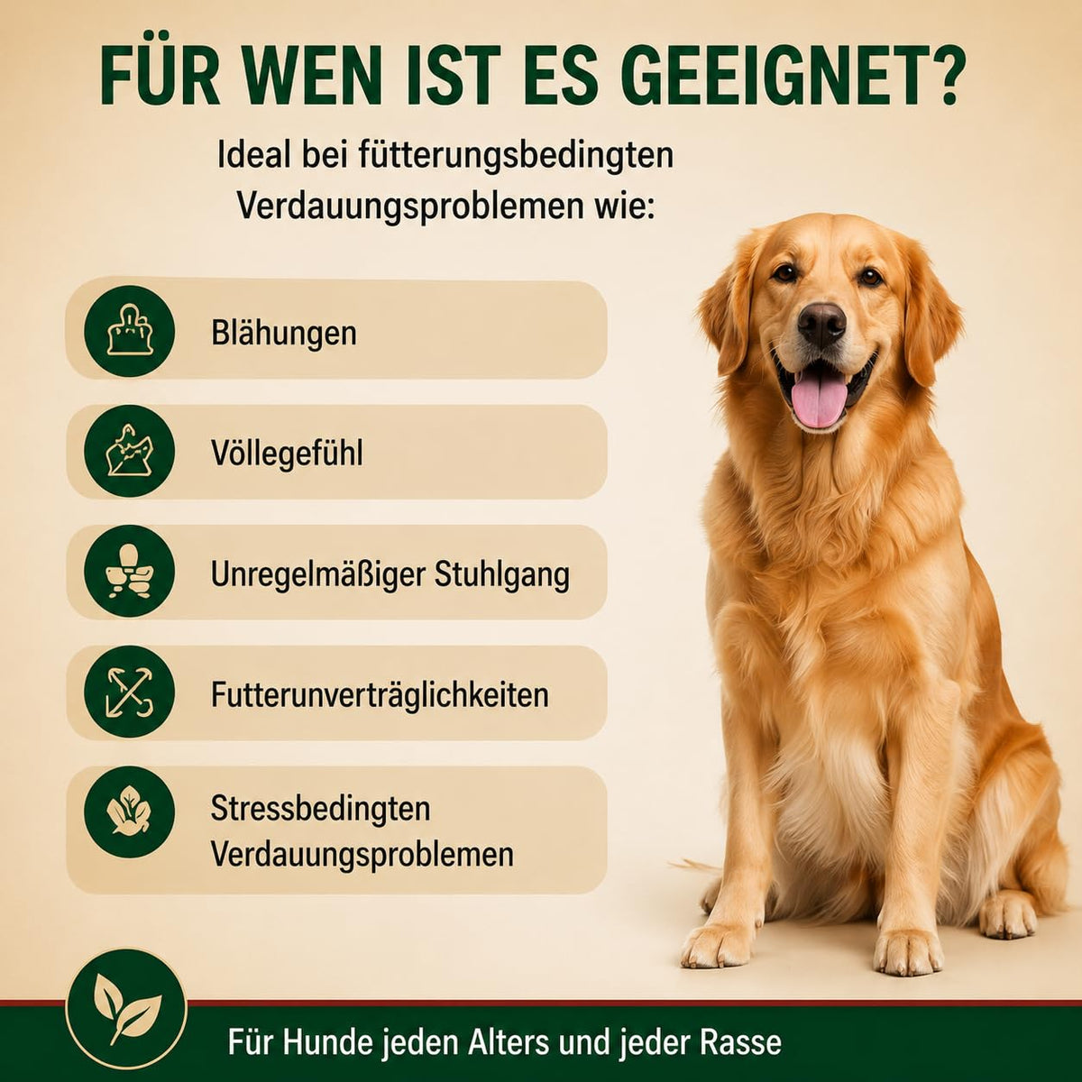 Eichenkraft Premium Hunde Verdauungspulver - 180g