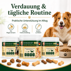 Eichenkraft Hunde Drops 3er Set – Gelenk, Verdauung & Ruhe (3 × 270 g)