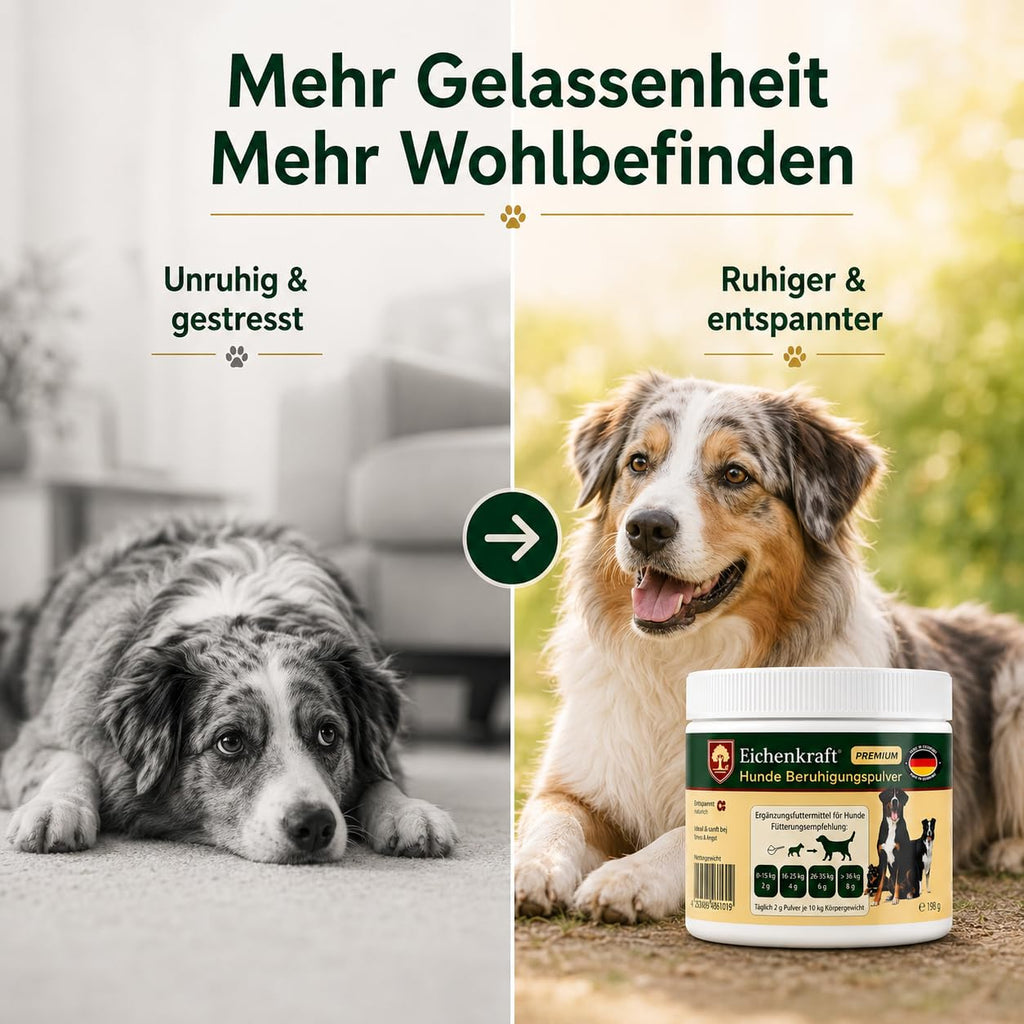 Eichenkraft Premium Hunde Beruhigungspulver - 180g
