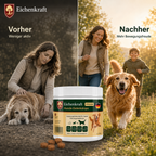 Eichenkraft Gelenk & Verdauung Drops 2er Set (2 × 270 g)