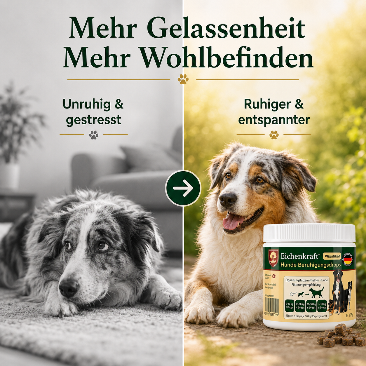 Hunde Beruhigungs Drops 270g | Weiche Funktionssnacks Hund Beruhigung & Entspannungs- Anti-Stress-Mittel für Hunde, Baldrian für den Hund, Hund beruhigen, Silvester, Autofahrt, Stress, Leckerli