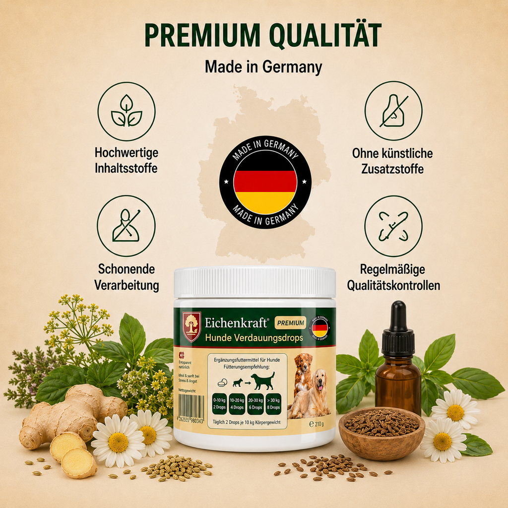 Eichenkraft Ruhe & Verdauung Drops 2er Set (2 × 270 g)