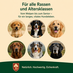 Premium Barf Öl für Hunde 500ml – Ergänzungsfuttermittel mit Lachsöl, Leinöl, Hanföl & Schwarzkümmelöl – 100% naturreine Ölmischung – Unterstützung für Fell, Haut & Wohlbefinden – Made in Germany