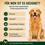 Eichenkraft Ruhe & Verdauung Drops 2er Set (2 × 270 g)