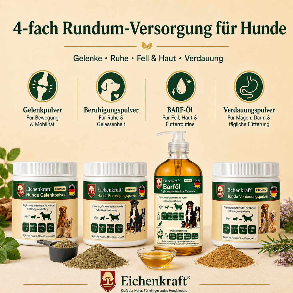 Eichenkraft Komplett-Set 4er – 3 × Hunde Pulver + BARF Öl (3 × 180 g + 500 ml)