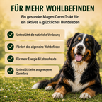 Premium Hunde Verdauungsdrops 270g – Ergänzungsfuttermittel für Hunde mit Kräutern, Leinsamen & Ballaststoffen, Verdauung Drops für Darmflora Magen Darm Wohlbefinden & tägliche Fütterung