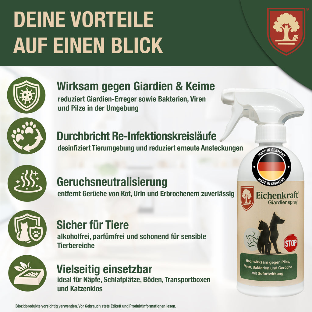Eichenkraft Giardienspray – Giardien Desinfektionsmittel für Hund & Katze – Hygienespray bei Giardien Befall – Ergänzend zu Giardien Schnelltest Hund & Giardien Schnelltest Katze - 500ml