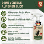 Eichenkraft Giardienspray – Giardien Desinfektionsmittel für Hund & Katze – Hygienespray bei Giardien Befall – Ergänzend zu Giardien Schnelltest Hund & Giardien Schnelltest Katze - 500ml