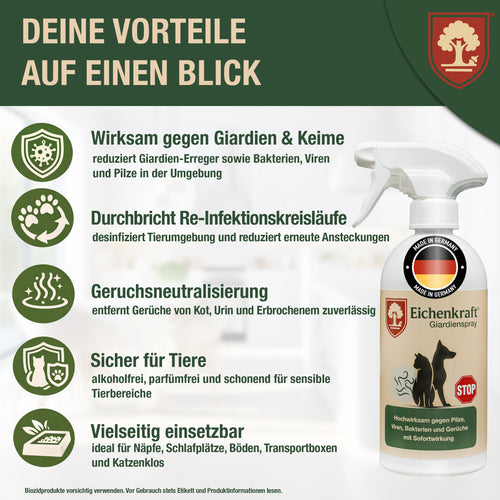 Eichenkraft Giardienspray – Giardien Desinfektionsmittel für Hund & Katze – Hygienespray bei Giardien Befall – Ergänzend zu Giardien Schnelltest Hund & Giardien Schnelltest Katze - 500ml