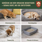 Urin Stop Spray – Enzymreiniger gegen Hunde- und Katzenurin, Geruchsneutralisierer Katzenabwehr Hundeabwehrspray, Katzenschreck Hundeschreck, Enzymreiniger für Haushalt und Tierbereich - 500ml