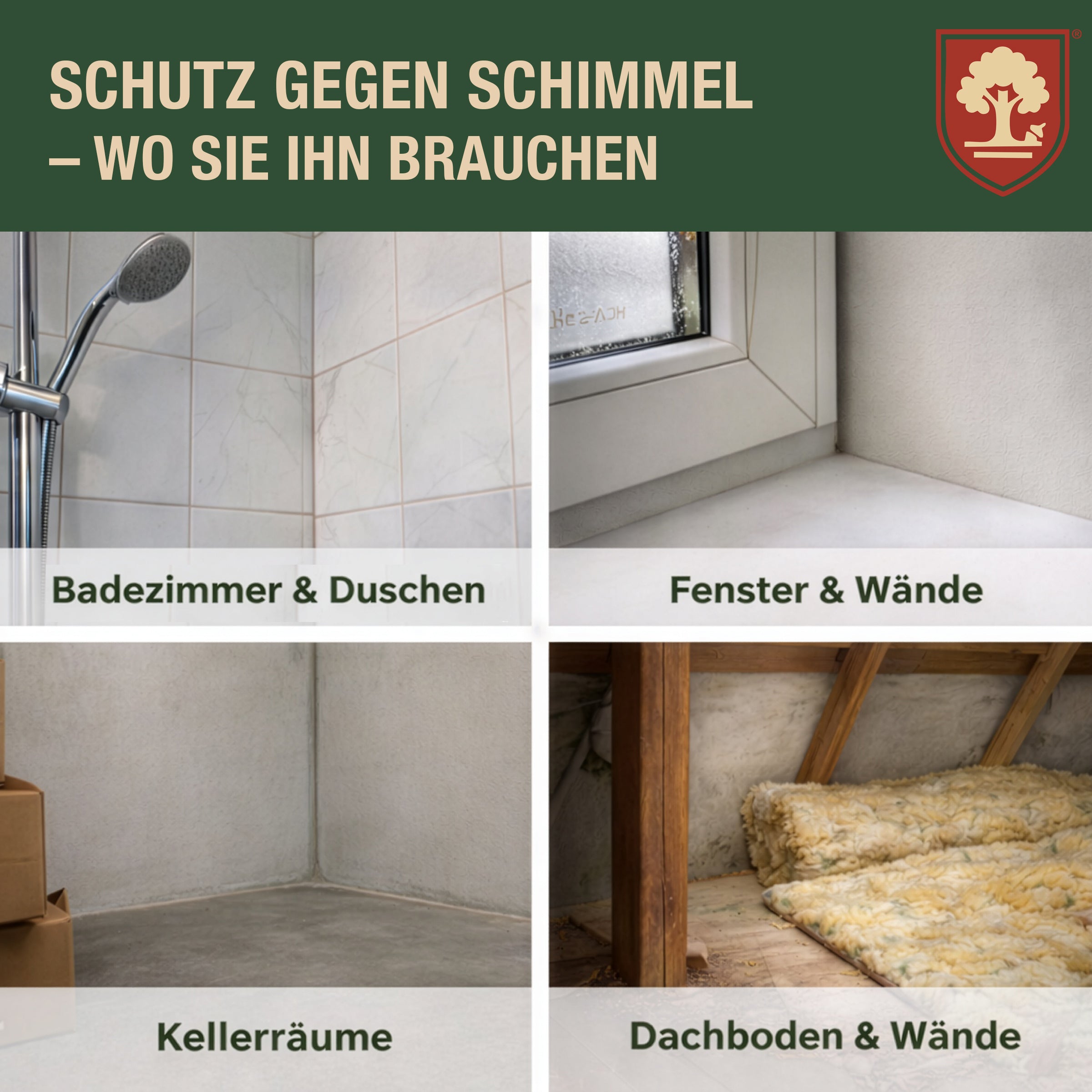 Schimmelentferner 500 ml – Entfernt Schimmel, Stockflecken & Algen – Hochwirksam gegen Schimmelpilze & Bakterien – Langzeit-Schutzwirkung – Für Bad, Küche, Wände & Fugen – Made in Germany
