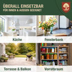 Insektenspray - Universal gegen Ameisen, Silberfische, Milben Insekten – Alternative zu Ameisenköder, Bettwanzen Spray, Milbenspray für Matratzen Silberfisch Spray – für Haushalt Möbel Holz - 500ml