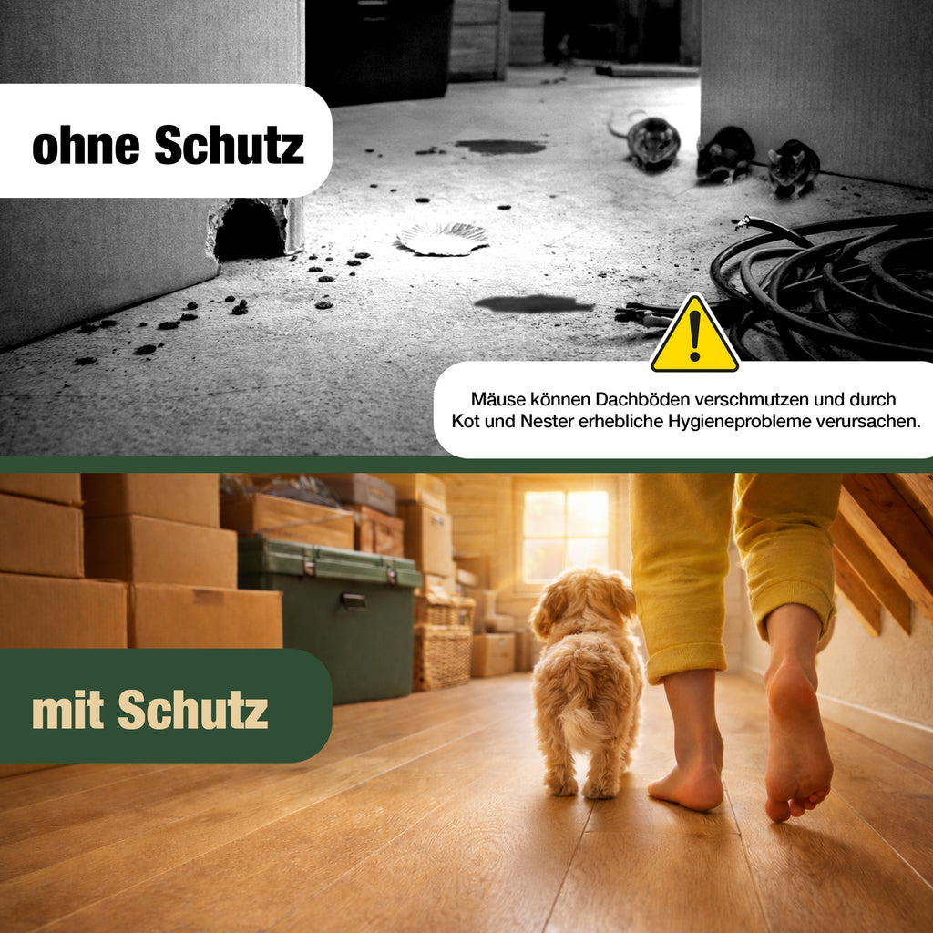 Eichenkraft Mäusespray für Haus, Keller & Garage - Langzeit – Alternative zu Mäusegift, Mäusefalle, Maulwurf Vertreiber, Rattenfalle & Rattengift Tierabwehrspray – 500ml