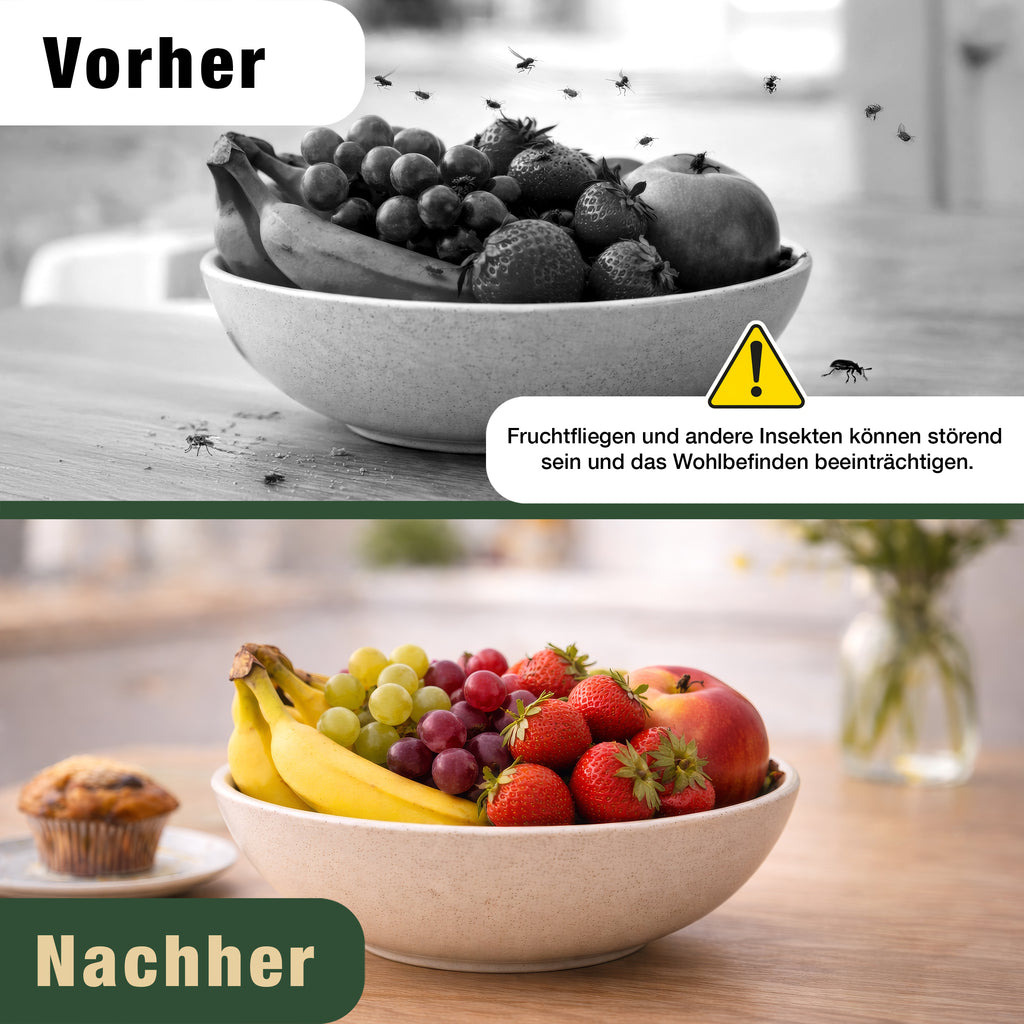 Insektenspray - Universal gegen Ameisen, Silberfische, Milben Insekten – Alternative zu Ameisenköder, Bettwanzen Spray, Milbenspray für Matratzen Silberfisch Spray – für Haushalt Möbel Holz - 500ml