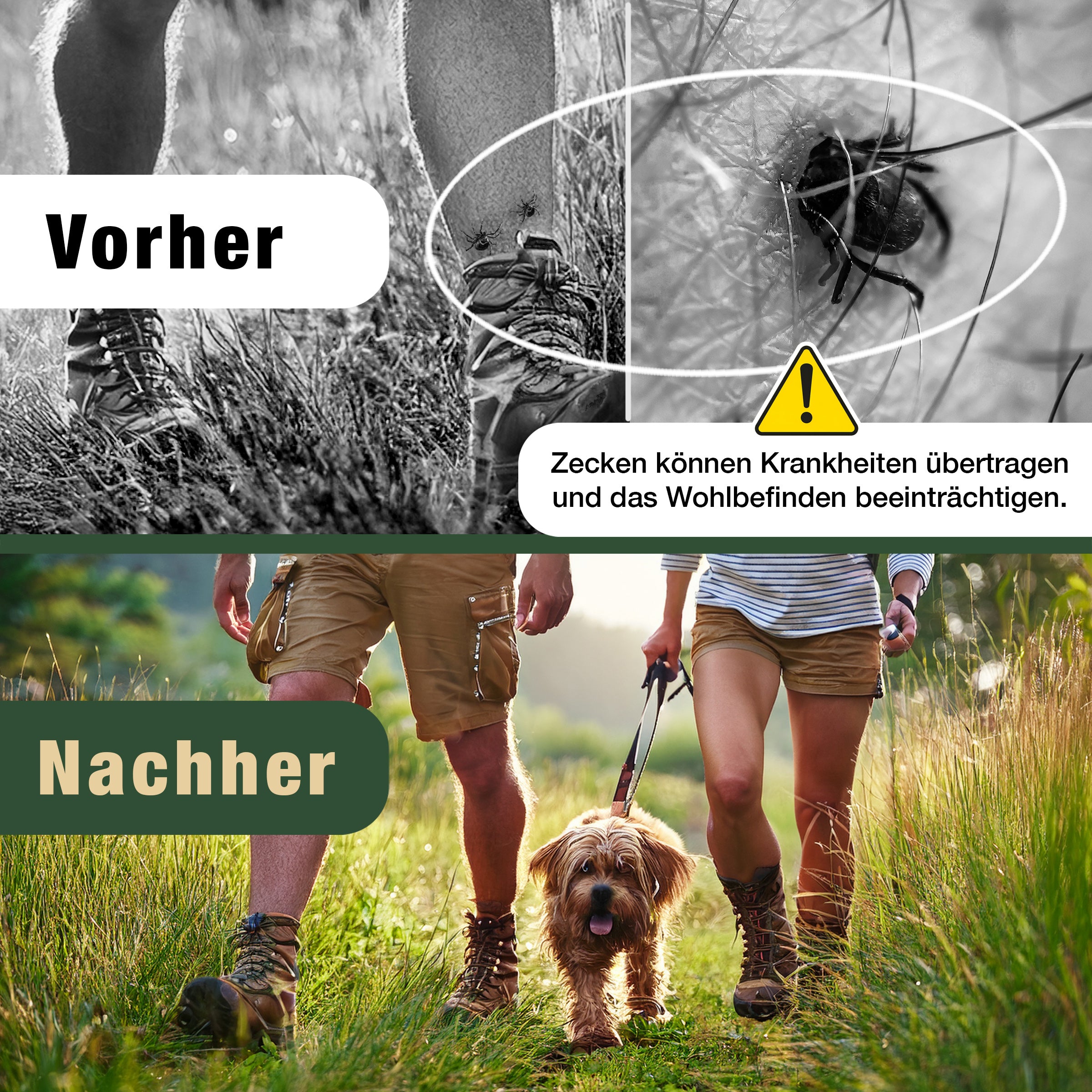 Eichenkraft Zeckenspray – Hochwirksam gegen Zecken – Langzeit-Schutzwirkung – Zeckenschutz Spray für Haut & Outdoor – Auf Basis ätherischer Öle – 200ml