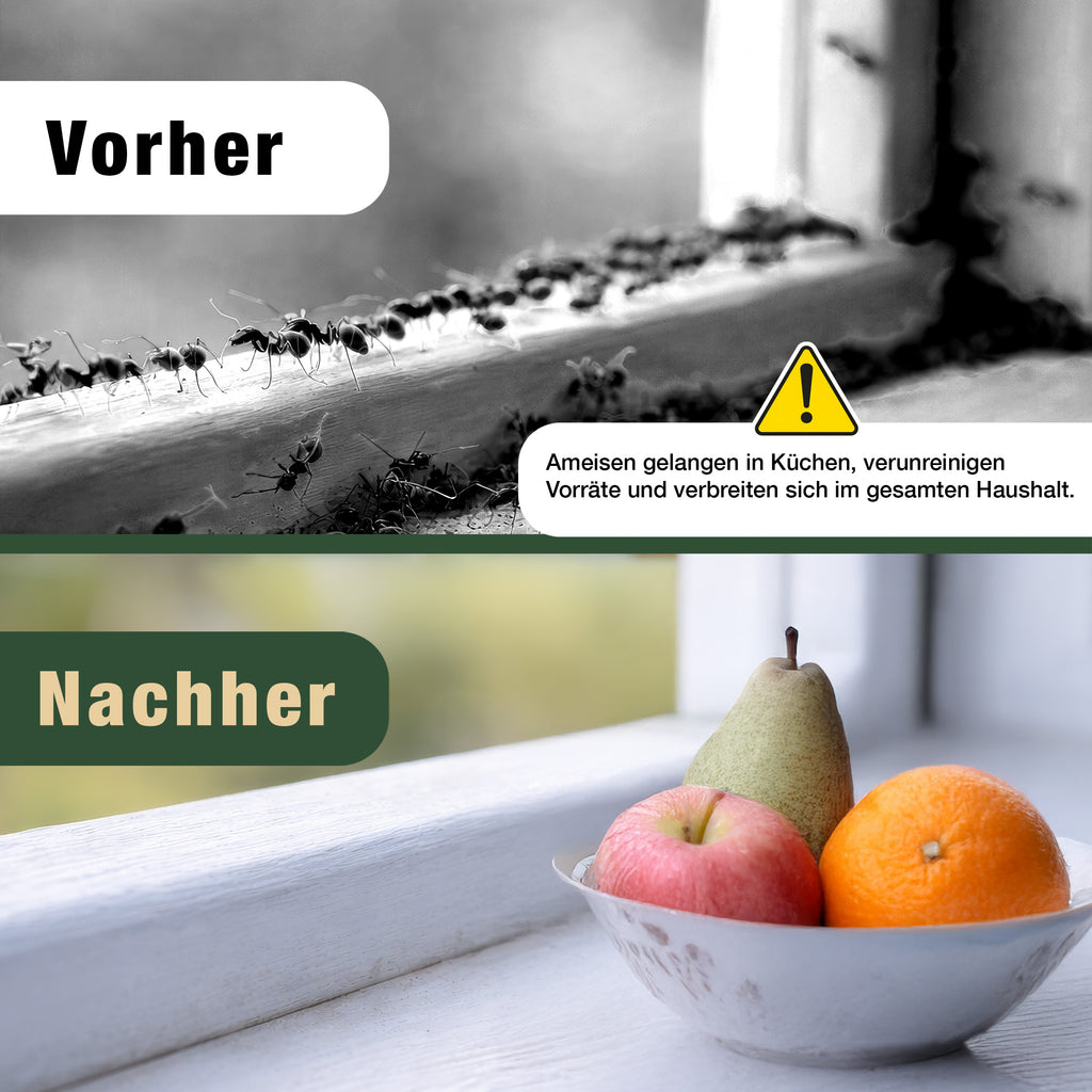 Eichenkraft Ameisenspray – Insektenspray gegen Ameisen – Ameisenköderdose – Auf Basis ätherischer Öle – Für Haus, Terrasse, Balkon & Garten – Ameisenabwehr Spray - 500ml