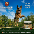 Eichenkraft Hunde Gelenkpulver – Detailansicht 7