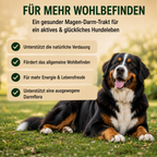Premium Hunde Verdauungspulver 180g – Probiotika für Hunde Darmflora – Magen Darm Pulver Hund – Unterstützung Verdauung & Kotkonsistenz – Natürliches Ergänzungsfuttermittel Hund – Made in Germany