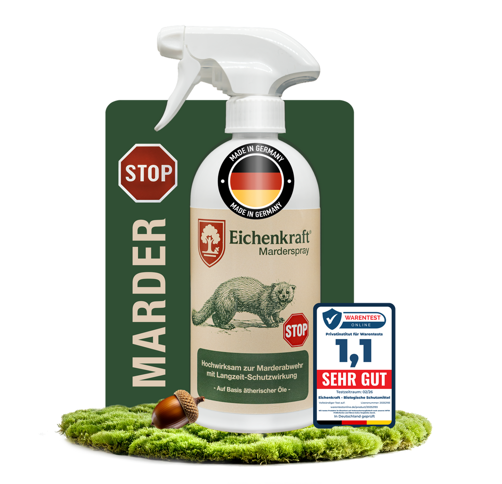Eichenkraft Marderspray 500ml – Marderabwehr für Auto, Dachboden & Garage