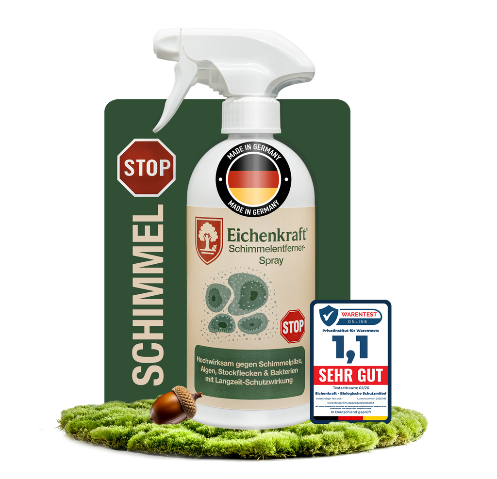 Eichenkraft Schimmelentferner 500ml – gegen Schimmel, Algen, Stockflecken