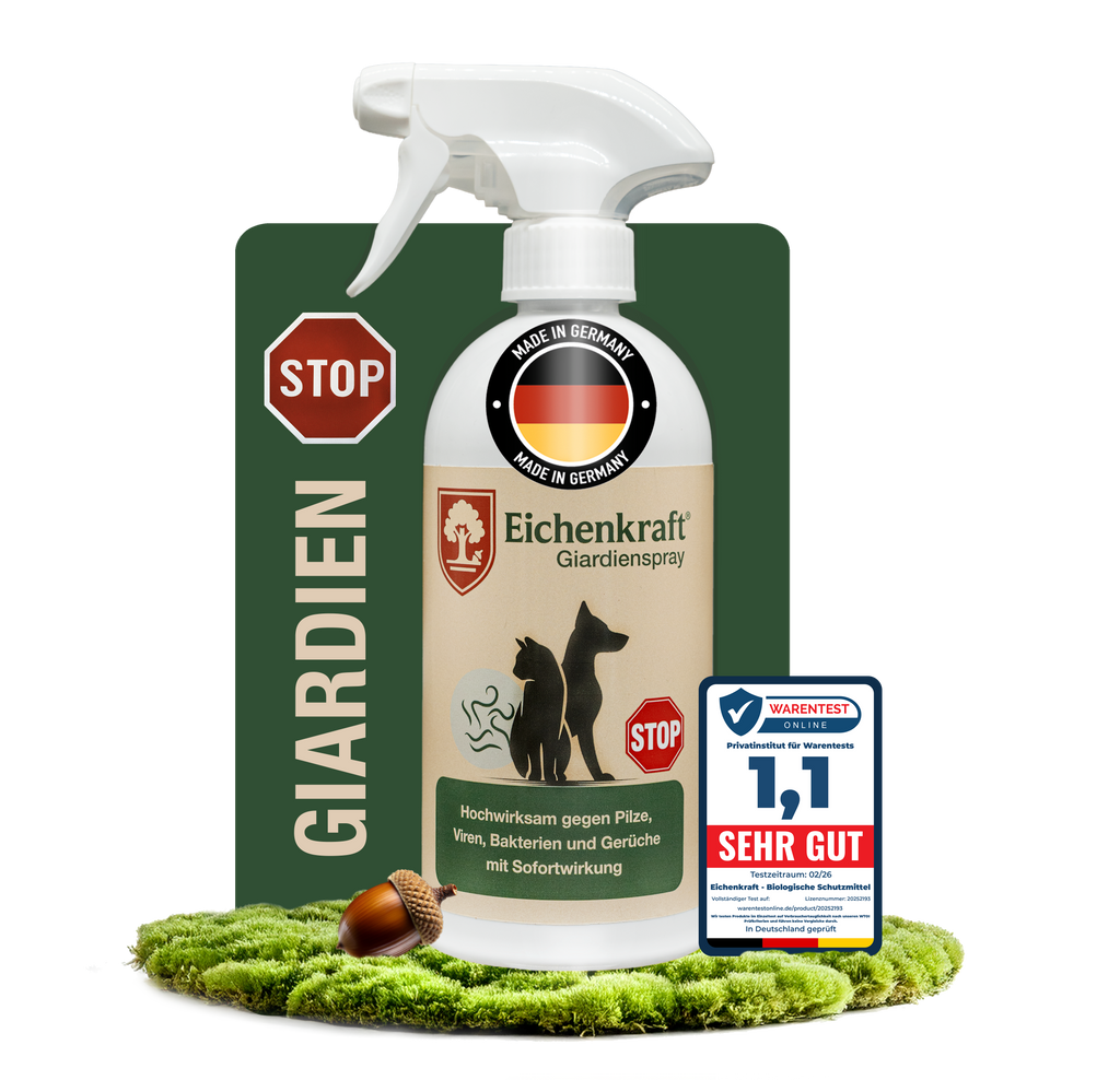 Eichenkraft Giardienspray 500ml – Giardien Desinfektionsmittel für Hund & Katze