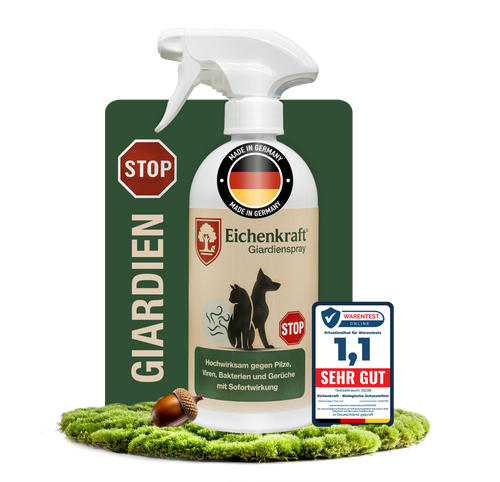 Eichenkraft Giardienspray 500ml – Giardien Desinfektionsmittel für Hund & Katze