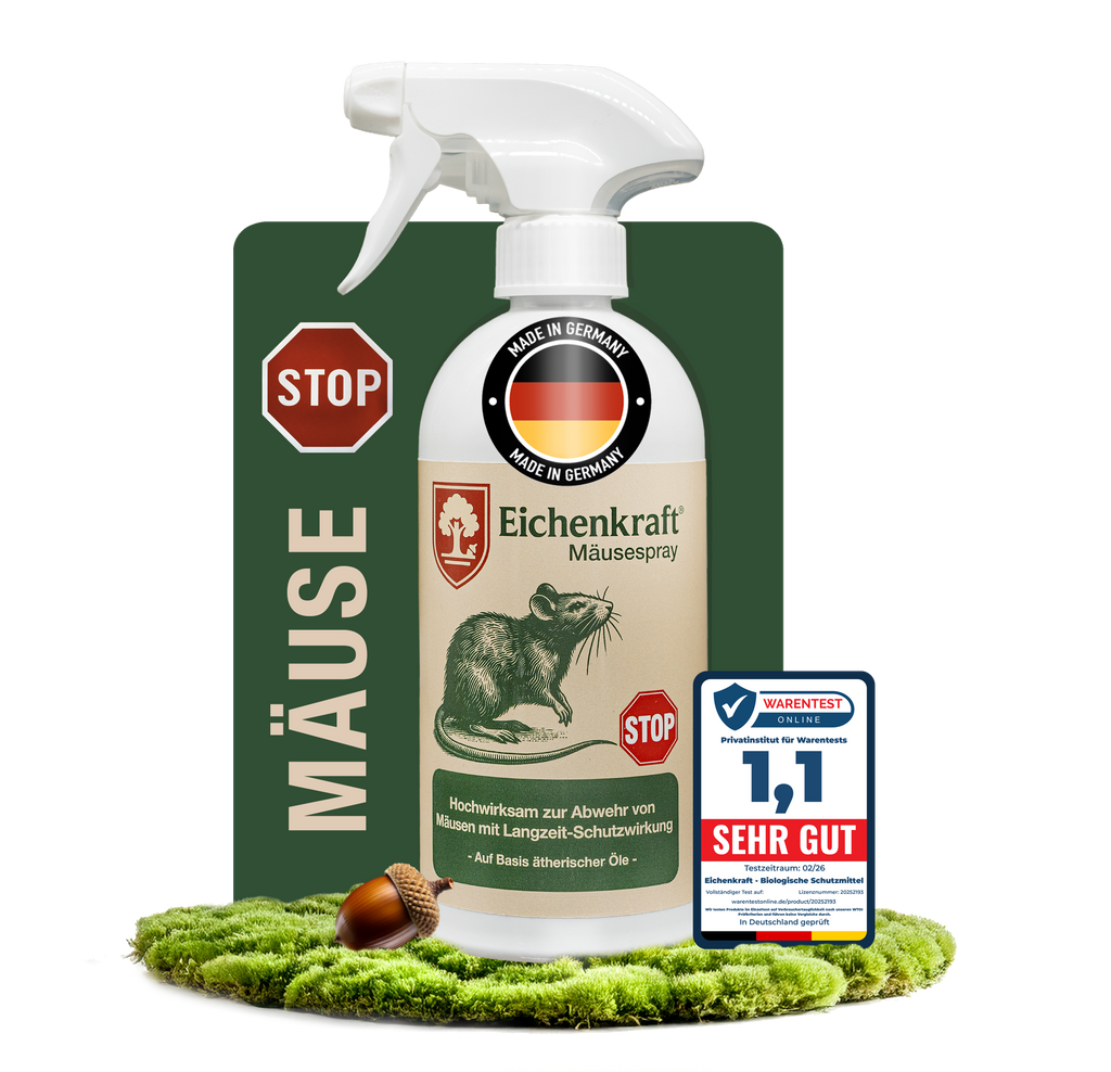 Eichenkraft Mäusespray 500ml – hochwirksam zur Abwehr von Mäusen mit Langzeit-Schutz